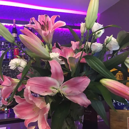 Scotch Arms Mews 4* Brampton (Cumbria)