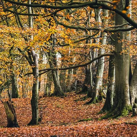 Scotch Arms Mews 4* Brampton (Cumbria)